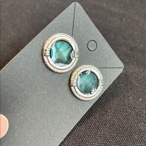 🎉4/30$🎉  Elegant Silver and Blue Earrings